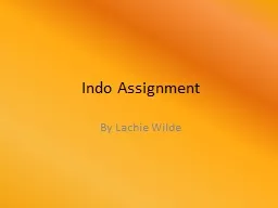 Indo Assignment By Lachie Wilde