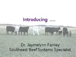 Introducing …. Dr.  Jaymelynn