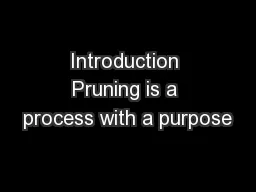 Introduction Pruning is a process with a purpose