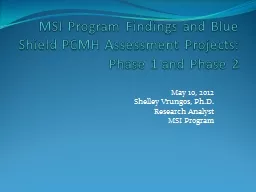 MSI Program Findings and Blue