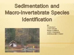Sedimentation and  Macro-Invertebrate Species Identification