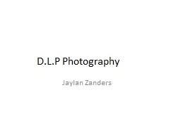 D.L.P Photography Jaylan Zanders