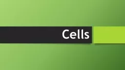 Cells Homeostasis Cells work together to maintain