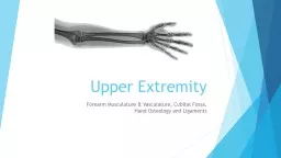 Upper Extremity Forearm Musculature & Vasculature, Cubital Fossa, Hand Osteology and