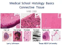 Medical  School Histology Basics Connective Tissue