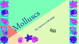 Molluscs   By: Sameena Khokhar