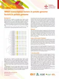 WRKY transcription factors in potato genome