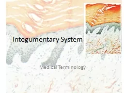 Integumentary System	 Medical Terminology