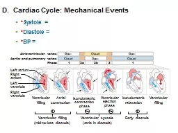 D .  Cardiac Cycle: Mechanical Events
