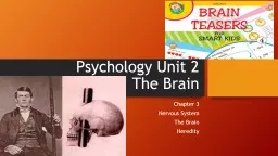 Psychology Unit 2  The Brain