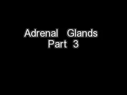 Adrenal   Glands  Part  3