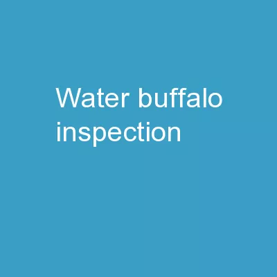 Water Buffalo Inspection