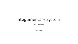 Integumentary System: Ms. Halbohm