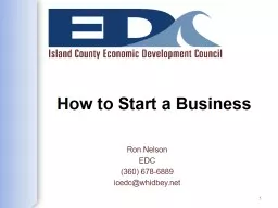 How to Start a Business Ron Nelson