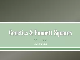 Genetics &  Punnett  Squares