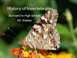 History of Invertebrates
