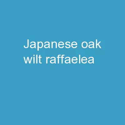 Japanese Oak Wilt Raffaelea