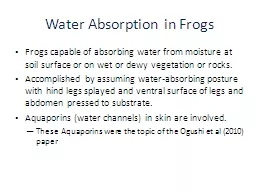 Water Absorption in Frogs