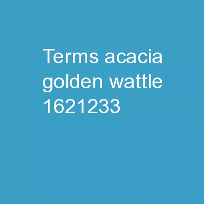 Terms Acacia (Golden Wattle)