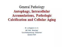 General Pathology Autophagy, Intracellular Accumulations, Pathologic Calcification and