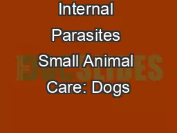 Internal Parasites Small Animal Care: Dogs