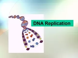 DNA Replication  What does DNA stand for?