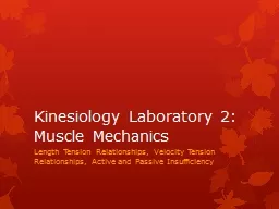 Kinesiology Laboratory 2: Muscle Mechanics