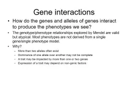 Gene interactions How do the genes and alleles of genes interact to produce the phenotypes