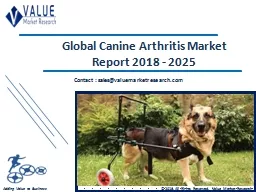 Canine Arthritis Market Size, Industry Analysis Report 2018-2025 Globally