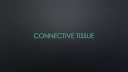 Connective tissue  III.  Connective Tissues