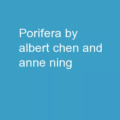 Porifera By Albert Chen and Anne Ning