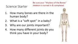 Science Starter How many bones are there in the human body?