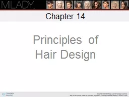 Principles of  Hair Design