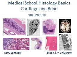 Medical School Histology Basics Cartilage and Bone