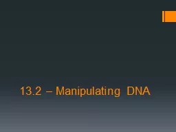13.2 – Manipulating DNA
