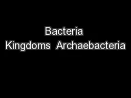 Bacteria Kingdoms  Archaebacteria