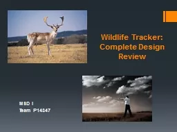 Wildlife Tracker: Complete Design Review