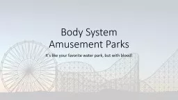 Body System Amusement Parks