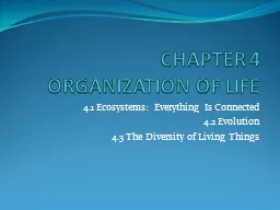 CHAPTER 4 ORGANIZATION OF LIFE