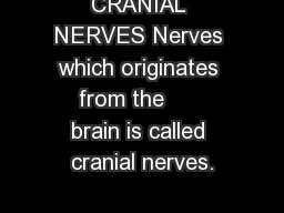 CRANIAL NERVES Nerves which originates from the      brain is called cranial nerves.