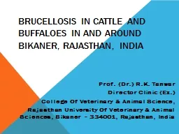 Brucellosis in Cattle and Buffaloes in and around Bikaner, Rajasthan, India