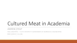 Cultured Meat in Academia
