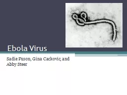 Ebola Virus Sadie Fuson, Gina Cackovic, and Abby Steer