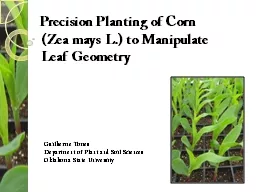 Precision Planting of Corn