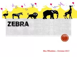Zebra Mrs. Whiddon – October