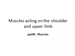 Muscles acting on the shoulder and upper limb