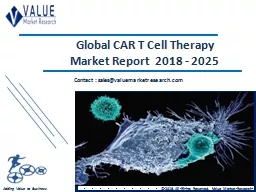 Car T Cell Therapy Market Size, Industry Analysis Report 2018-2025 Globally