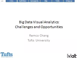 Big Data Visual Analytics: