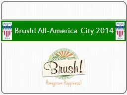 Brush! All-America City 2014