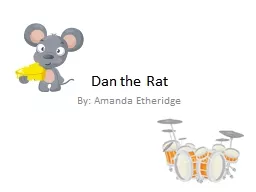 Dan the Rat By: Amanda Etheridge
